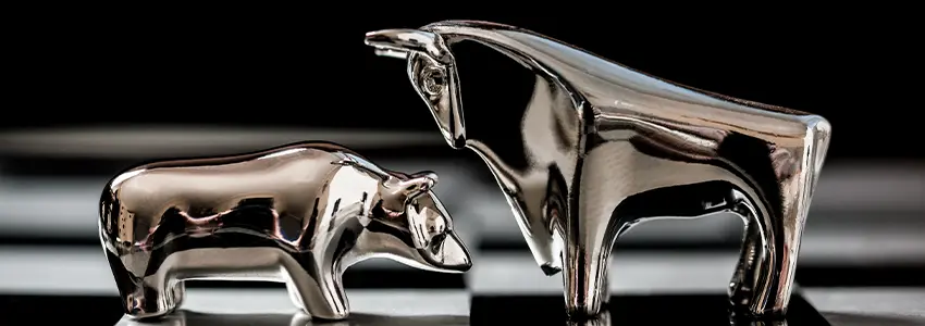 What is a Bull Market