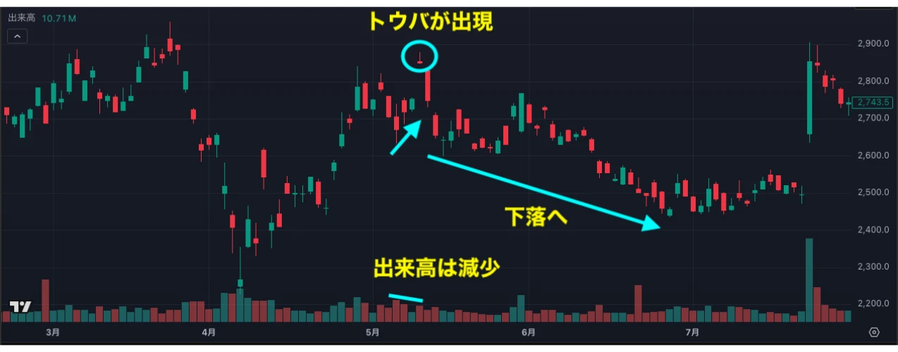 上ヒゲやトウバの出現