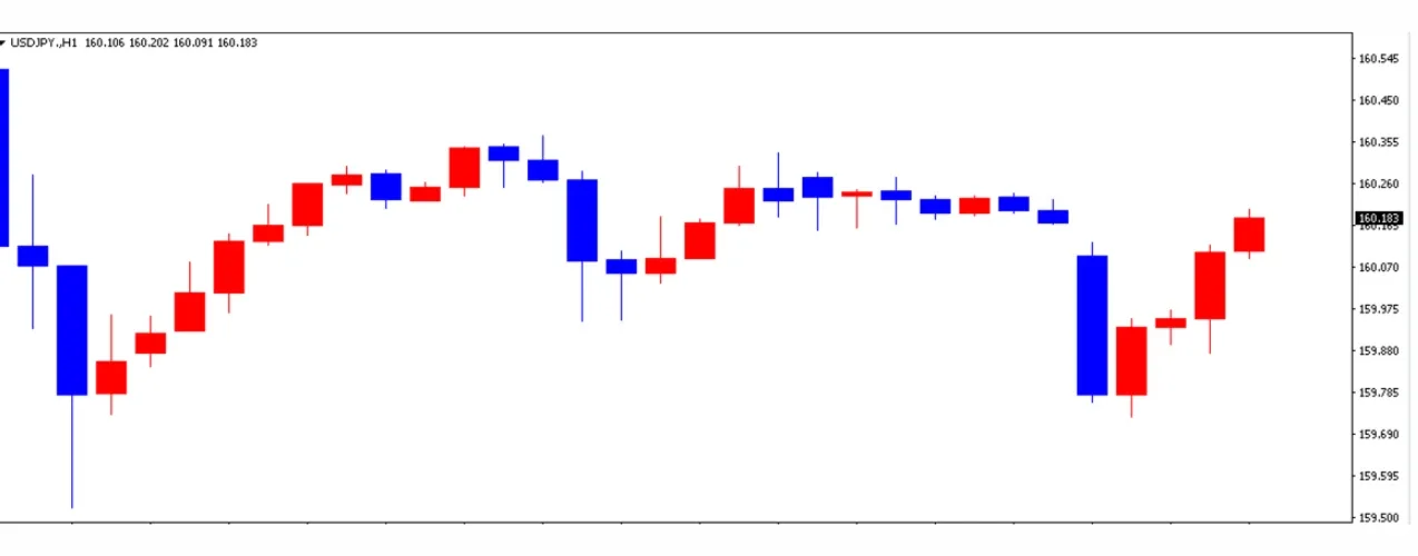 ドル円の1日の推移